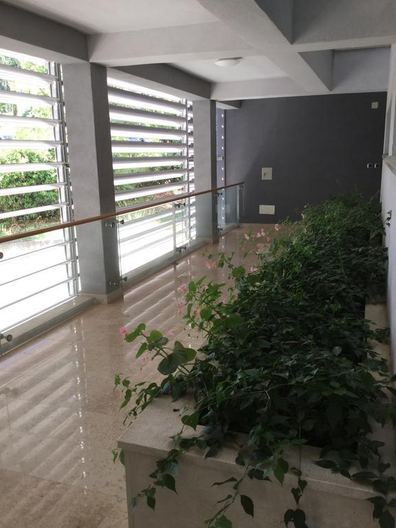 רוביני Alessia Apartments-Top Location And Garage Parking מראה חיצוני תמונה